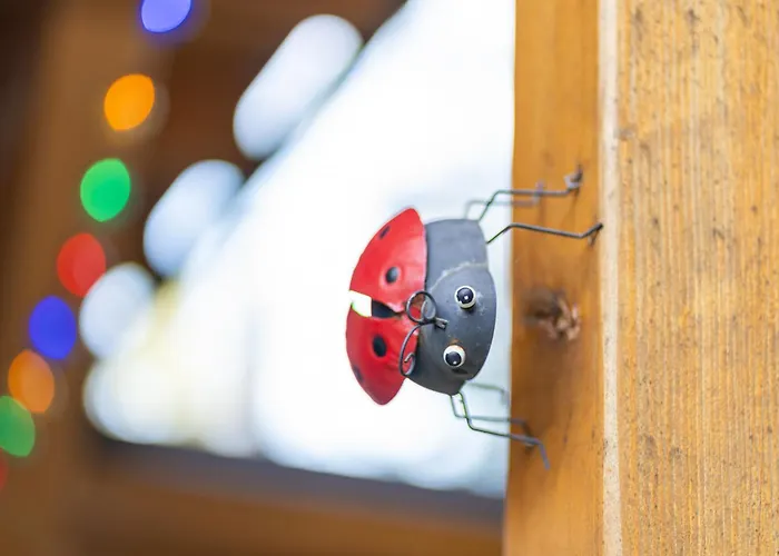 Polom Alpehytte Raková